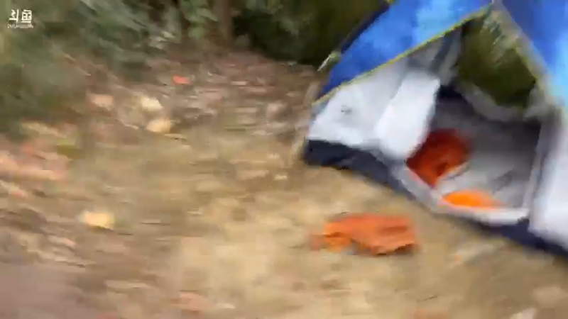 【2021-11-02 08点场】魅力生活i：县城到张家界各种整活