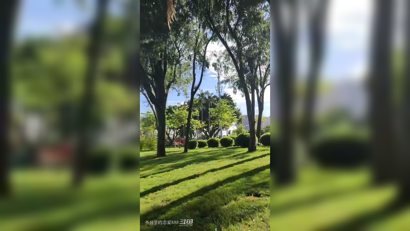 风景秀丽的海滨公园