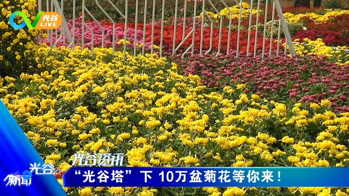 第六十九周光谷新闻周二版1102