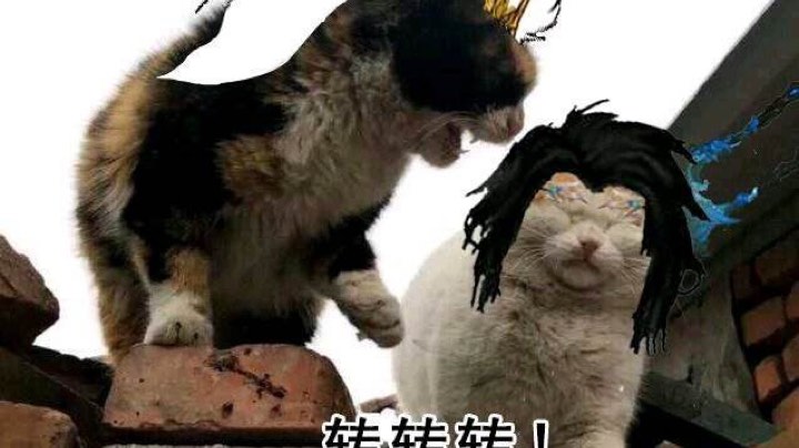 苍霸毒劳改