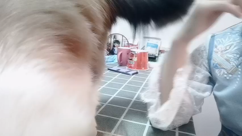 【2021-11-02 18点场】莫药师：莫大厨厨艺小课堂开课啦~