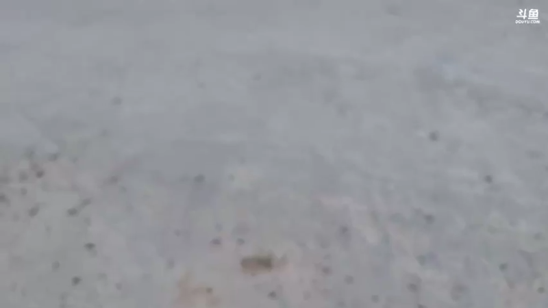 【2021-11-03 11点场】逐梦兄弟：十点开播！