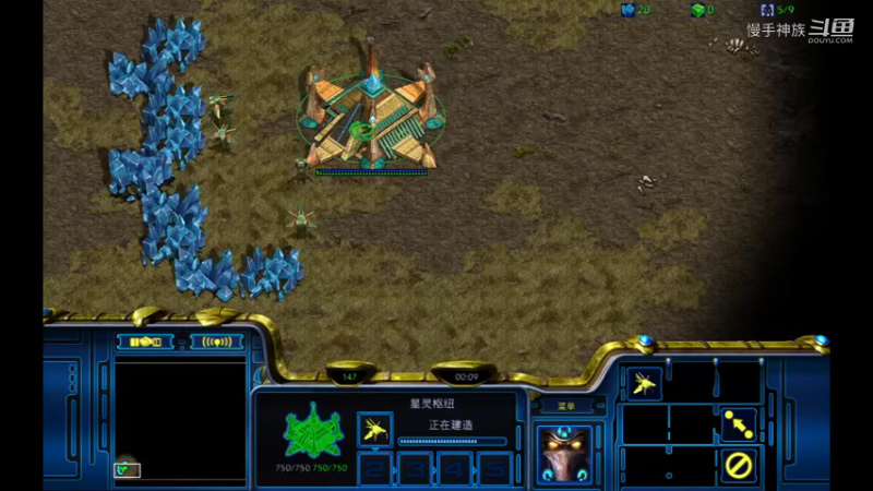 星际争霸-pvp日蚀前置2兵营rash打法2021-11-3
