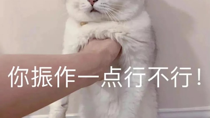2直播回看