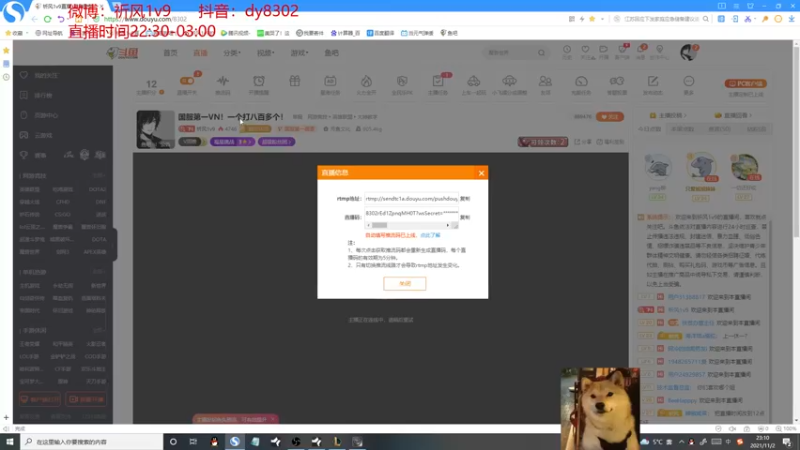 【2021-11-02 23点场】祈风1v9：国服第一VN！一个打八百多个！