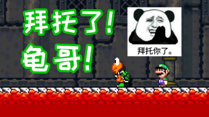 拜托了龟哥！你是我最后的希望了！