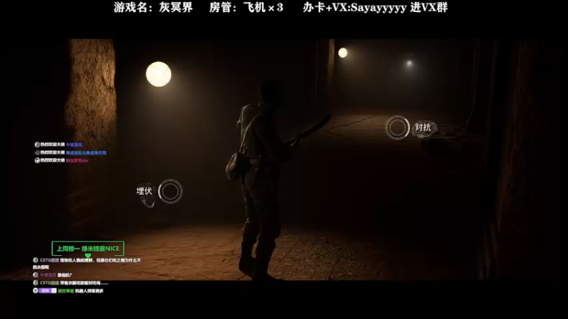【2021-11-03 00点场】洒鸦的脱：【洒鸦】恐怖游戏！灰冥界！