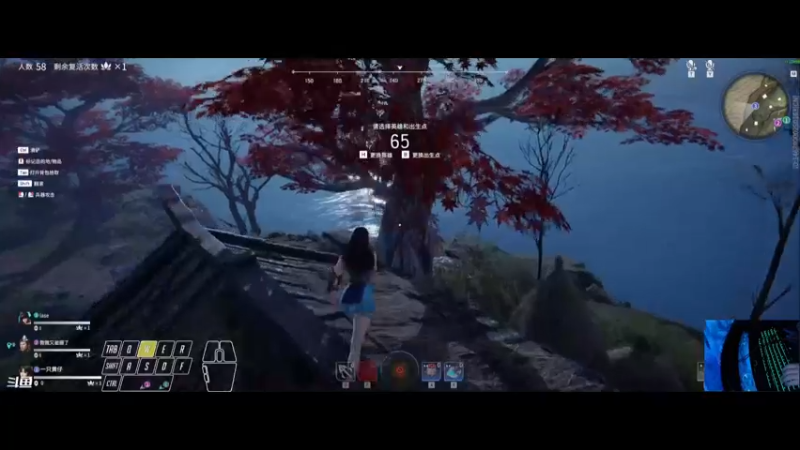 【2021-11-03 13点场】一只黄仔：包心菜又来了