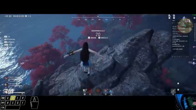 【2021-11-02 13点场】一只黄仔：包心菜又来了