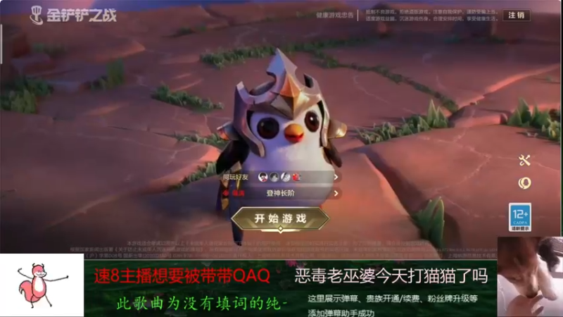 【2021-11-02 16点场】雪雪今年三岁啦：你看我长得像不像你失散多年的女朋友