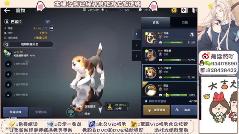 【2021-11-03 21点场】淰然乀：黑色沙漠我好喜欢玩