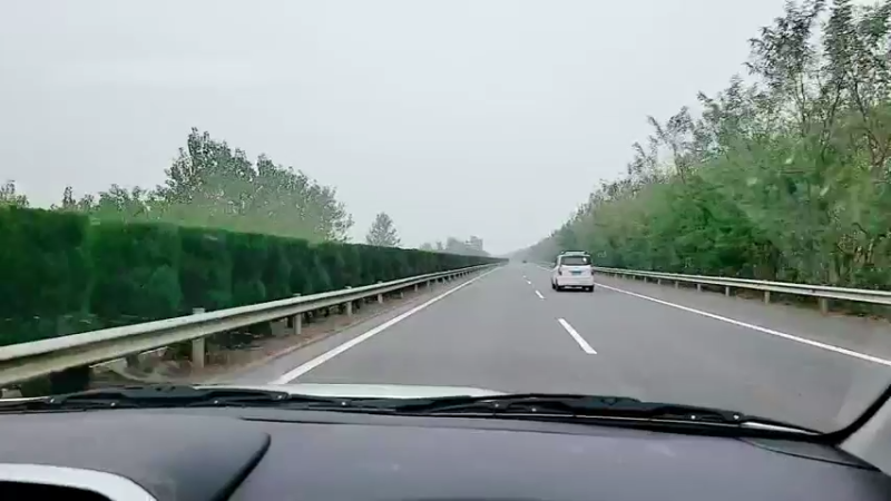 【2021-11-04 10点场】洪湖小肖：监利抓甲鱼