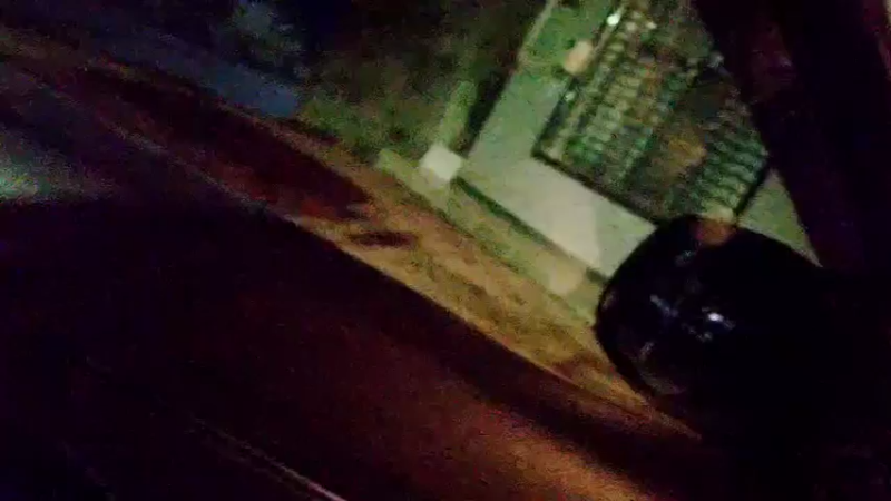 【2021-11-03 22点场】魅力生活i：县城到张家界各种整活