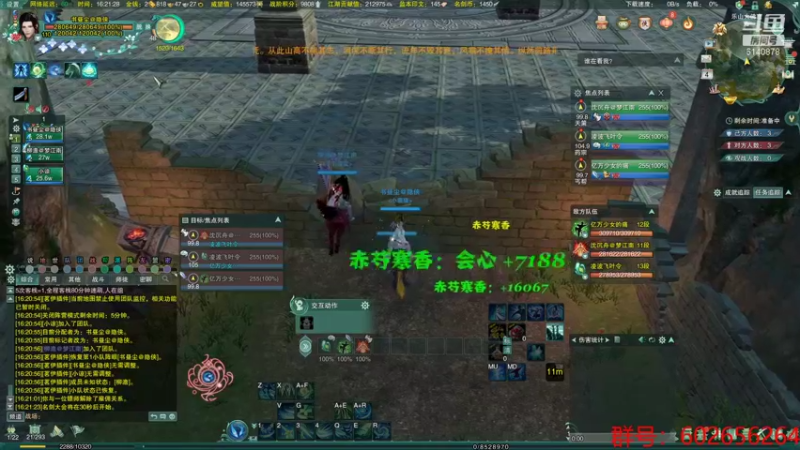 【2021-11-04 16点场】君且莫惜：正式服气纯散排娱乐