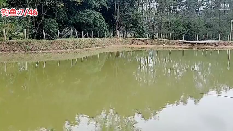 【2021-11-04 15点场】逐梦兄弟：钓鱼人，钓鱼魂，钓鱼人才是人上人