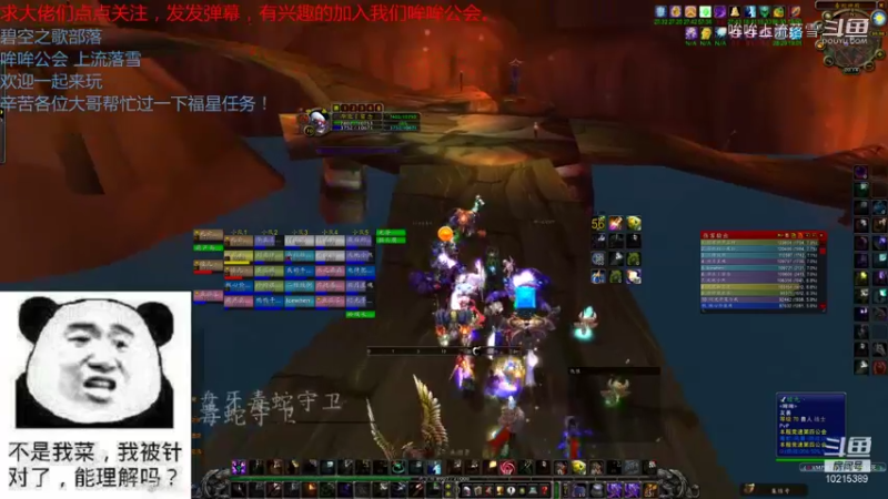 【魔兽怀旧服】碧空之歌部落，哞哞公会11月3日六团G团视频 20点场