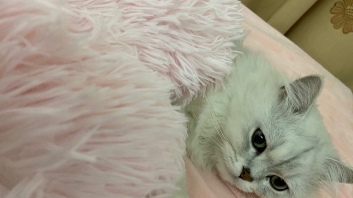 电子竞技没有视力