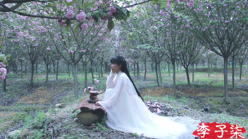 【美食】李子柒liziqi的精彩时刻 20211104 07点场