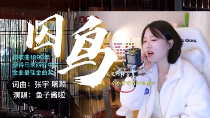 经典老歌《囚鸟》