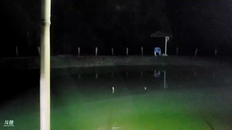 【2021-11-04 21点场】逐梦兄弟：钓鱼人，钓鱼魂，钓鱼人才是人上人