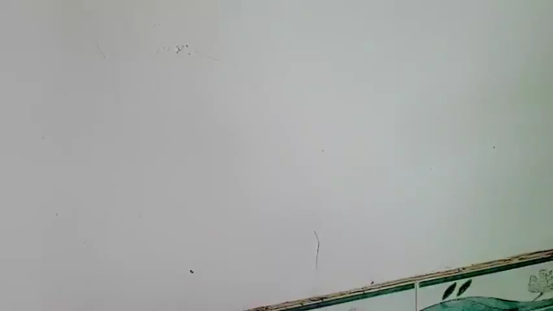 【2021-11-05 11点场】洪湖小肖：祝栖栖生日快乐