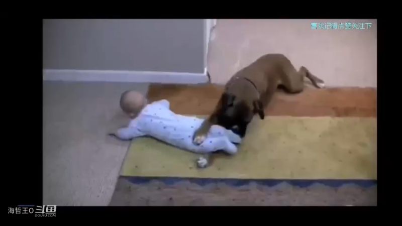 主人要出门打招呼叫狗子照顾一下小主，主人回来看到画面笑了