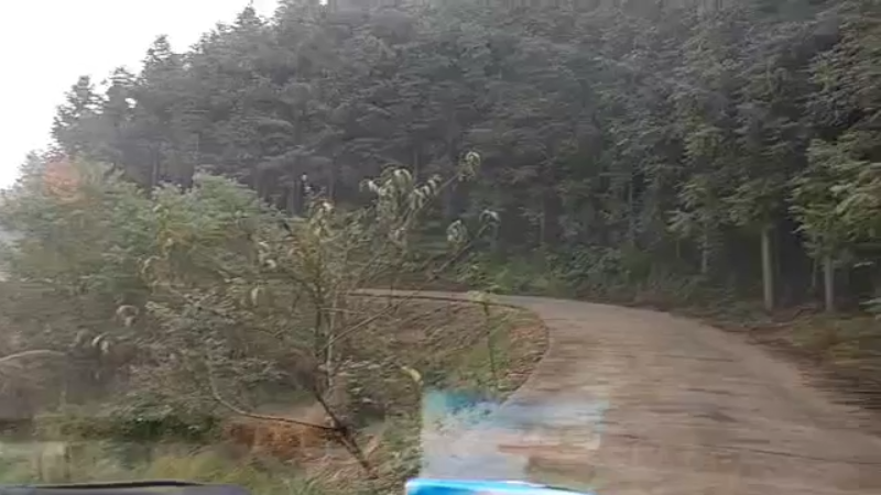 【2021-11-05 14点场】魅力生活i：干个野塘。。。。。。