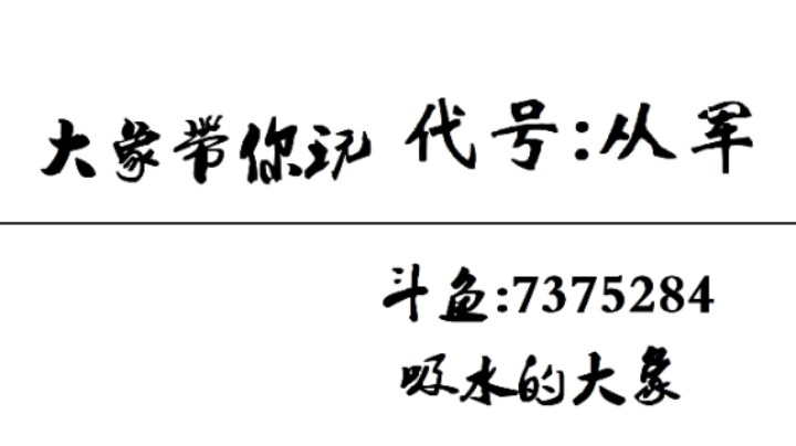 毛子飞机轰炸柏林【代号：从军】