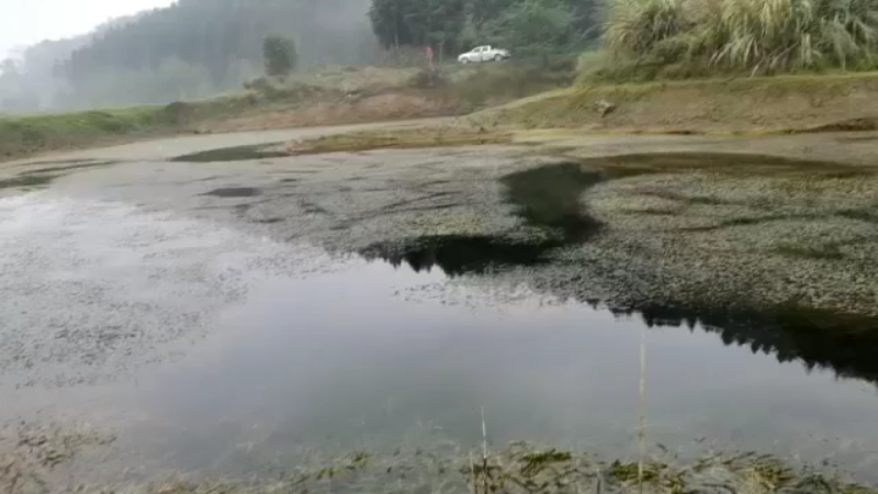 【2021-11-05 15点场】魅力生活i：干个野塘。。。。。。