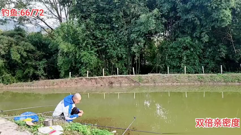 【2021-11-05 16点场】逐梦兄弟：恭喜筷子喜得贵子～