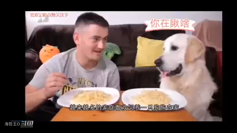 主人用假的骨骼骷髅吓唬狗子，没想到狗子一点都不怕