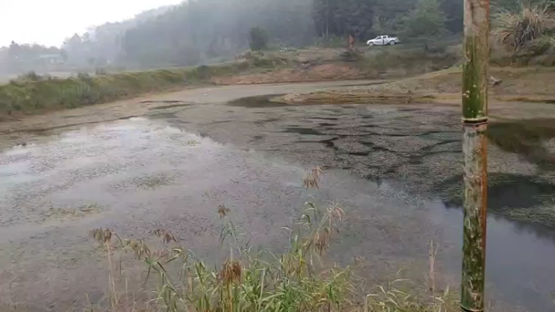 【2021-11-05 15点场】魅力生活i：干个野塘。。。。。。