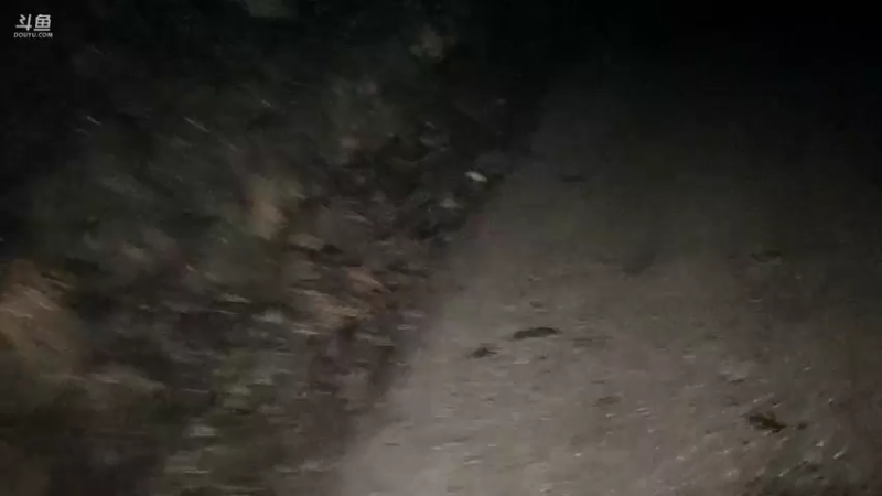 【2021-11-05 19点场】魅力生活i：干个野塘。。。。。。