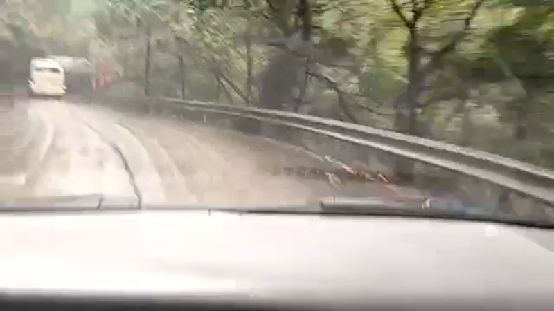 【2021-11-05 13点场】魅力生活i：干个野塘。。。。。。