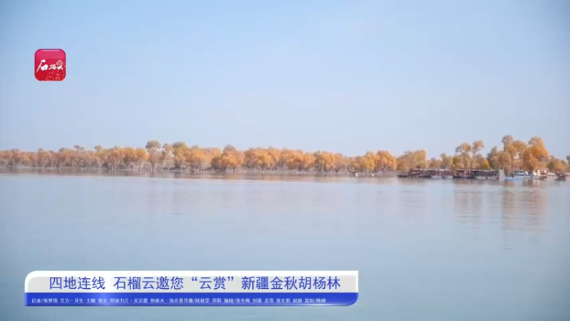 【2021-10-29 13点场】新疆石榴云：“云赏”新疆金秋胡杨林