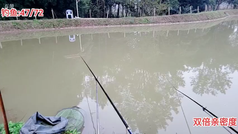 【2021-11-05 07点场】逐梦兄弟：钓鱼人，钓鱼魂，钓鱼人才是人上人