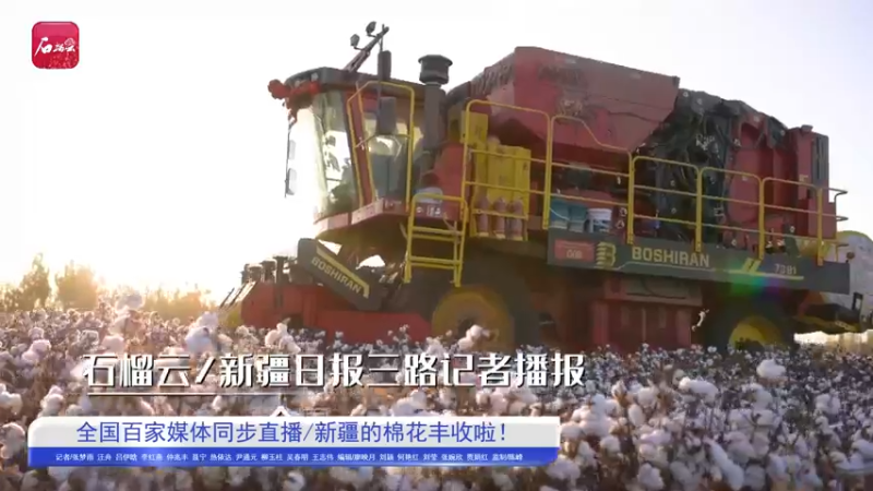 【2021-11-05 11点场】新疆石榴云：新疆的棉花丰收啦！！