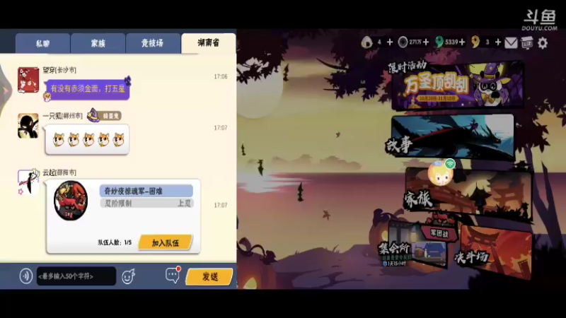 【2021-11-05 17点场】冰冰家的小猫咪：宝儿，点点关注呀