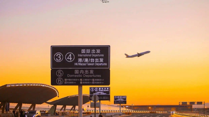 粑粑c