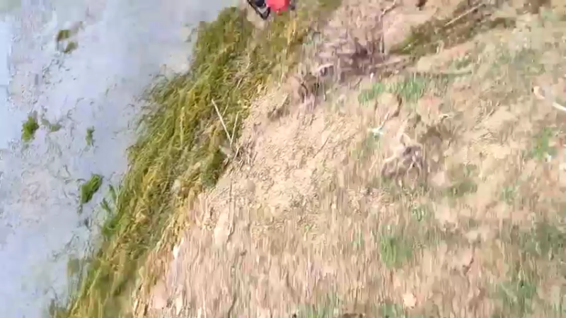 【2021-11-06 11点场】魅力生活i：干个野塘。。。。。。