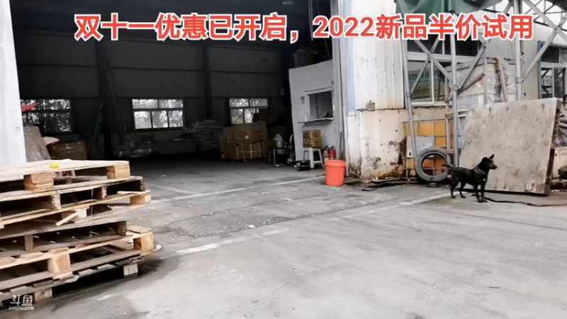 【2021-11-06 15点场】中华户外钓鱼：斧头湖新钓点