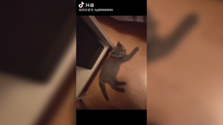 为什么没有上钻石，原因大家应该知道了。。