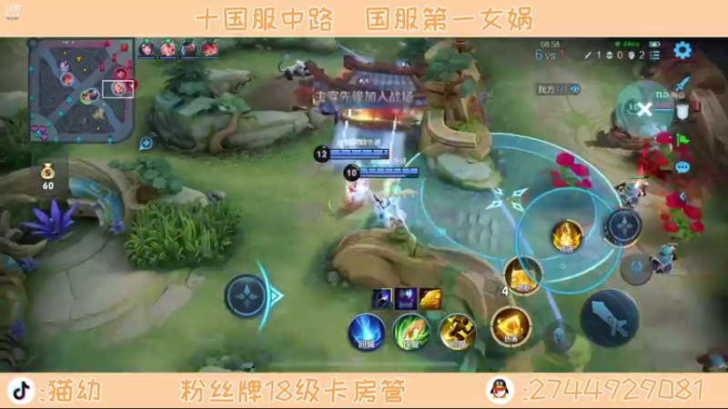 【2021-11-06 20点场】猫幼zzz：恨自己不够强0.0