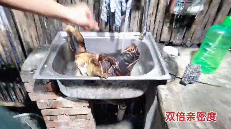 【2021-11-06 17点场】川味箩卜：一个猪头一条鲶鱼