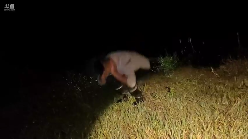 【2021-11-05 21点场】魅力生活i：干个野塘。。。。。。