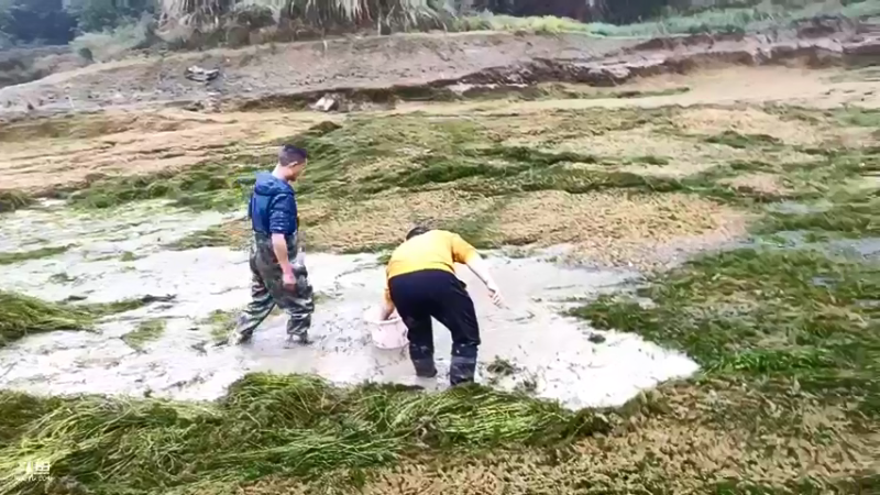 【2021-11-06 15点场】魅力生活i：大家相聚龙潭河