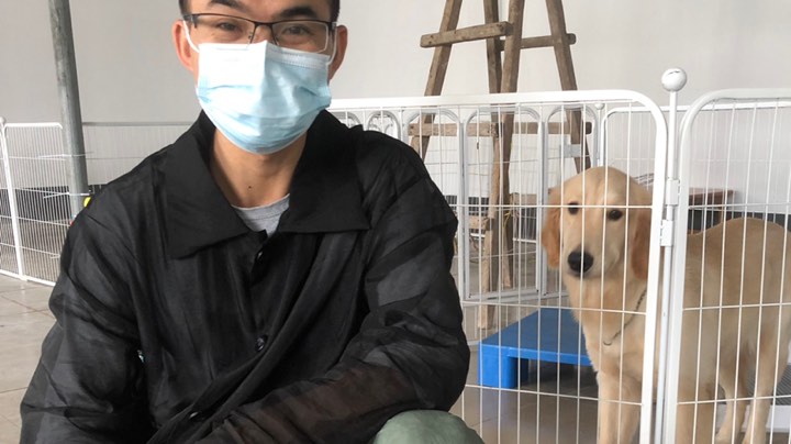 茄子母第4天，捡球游戏训练狗狗室内叫回。