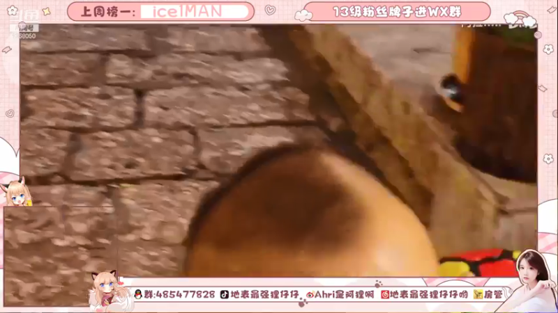 【2021-11-06 19点场】地表最强狸仔仔哟：【可上车】专业声优，并非技术主播慎入！