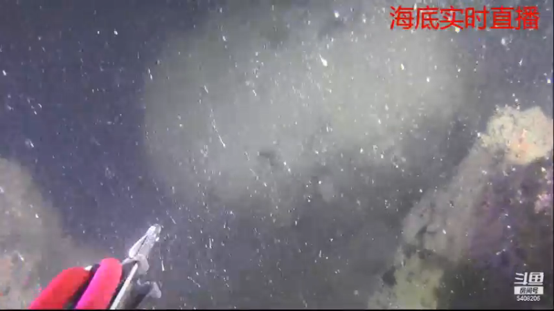 【2021-11-07 20点场】海道丶：今晚海底直播
