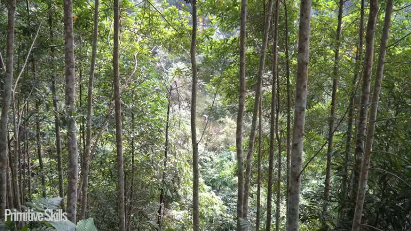 续我的世界SD29棉花种植2《如果你一无所有，进入荒野...》
